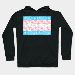 Trans Flag Hoodie